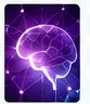 NeuroTrace visual